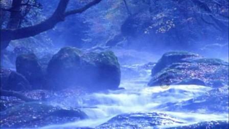 苹果visionpro头显首发可用流媒体应用